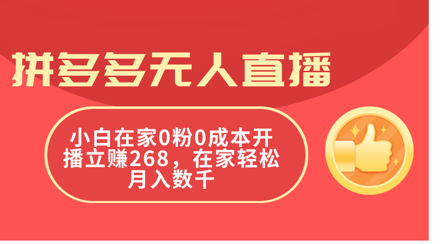 （11521期）拼多多无人直播，小白在家0粉0成本开播立赚268，在家轻松月入数千-wanlih项目库