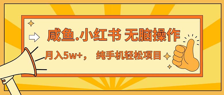 （11524期）2024最赚钱的项目，咸鱼，小红书无脑操作，每单利润500+，轻松月入5万+…-wanlih项目库