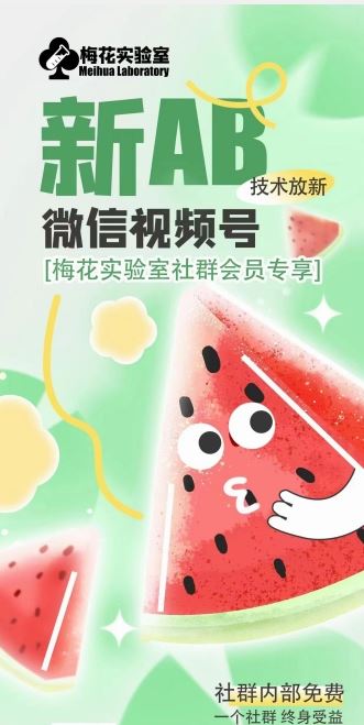 梅花实验室2024年AB技术视频号AB合成破解版-wanlih项目库