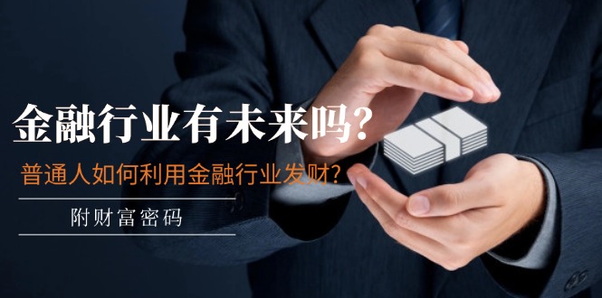 公众号付费文章：金融行业有未来吗？普通人如何利用金融行业发财?(附财富密码)-wanlih项目库