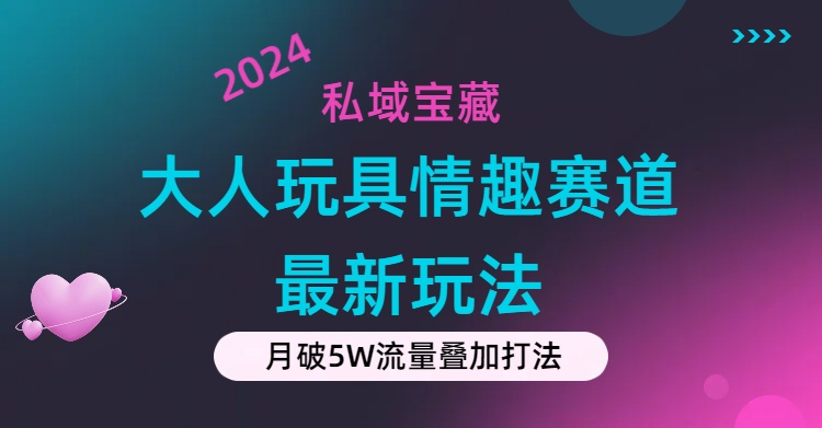 （11541期）私域宝藏：大人玩具情趣赛道合规新玩法，零投入，私域超高流量成单率高-wanlih项目库