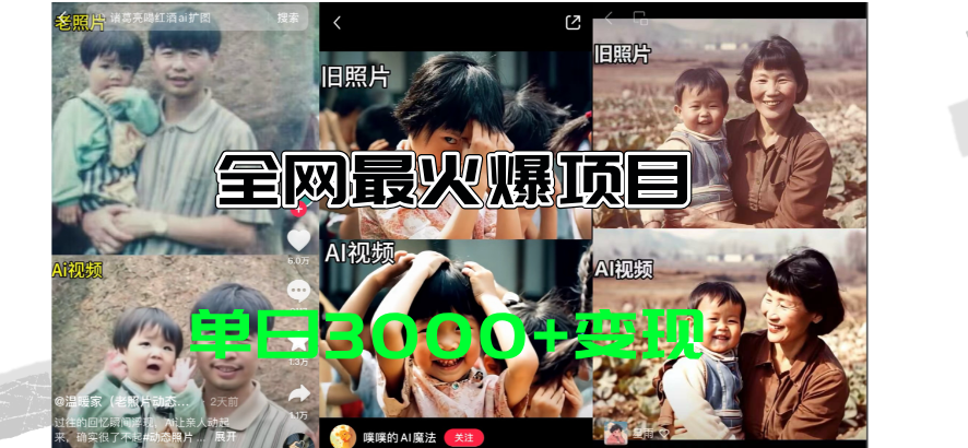 （11546期）全网爆火的AI让老照片动起来教程，蹭热点日赚3000+，内含免费工具一键…-wanlih项目库