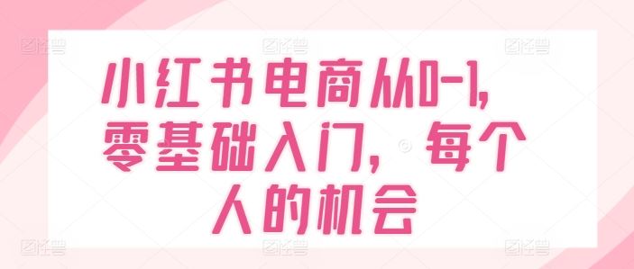 小红书电商从0-1，零基础入门，每个人的机会-wanlih项目库