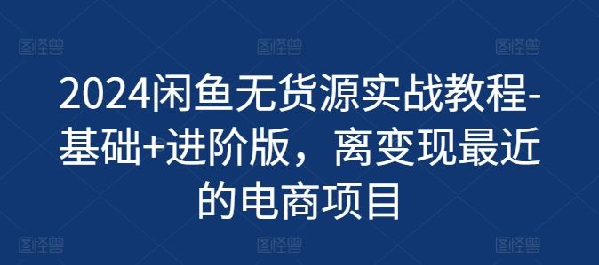 2024闲鱼无货源实战教程-基础+进阶版，离变现最近的电商项目-wanlih项目库