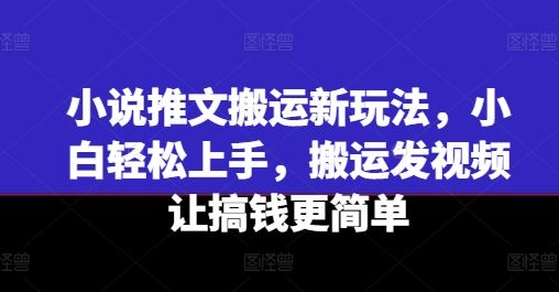 小说推文搬运新玩法，小白轻松上手，搬运发视频让搞钱更简单-wanlih项目库