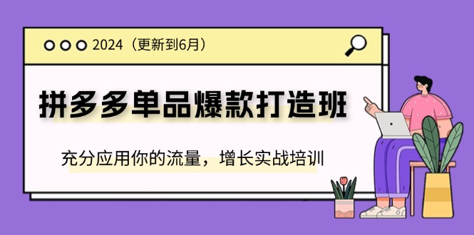 （11556期）2024拼多多-单品爆款打造班(更新6月)，充分应用你的流量，增长实战培训-wanlih项目库