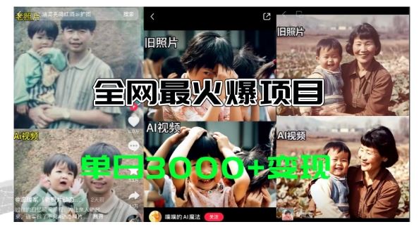 全网爆火的AI让老照片动起来教程，蹭热点日赚3k+，内含免费工具一键可生成【揭秘】-wanlih项目库