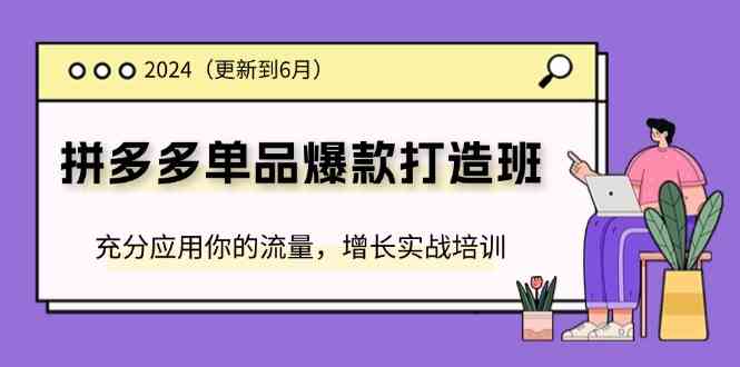 2024拼多多单品爆款打造班，充分应用你的流量，增长实战培训(更新6月)-wanlih项目库