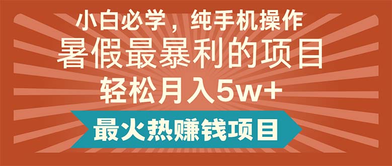 （11583期）小白必学，纯手机操作，暑假最暴利的项目轻松月入5w+最火热赚钱项目-wanlih项目库