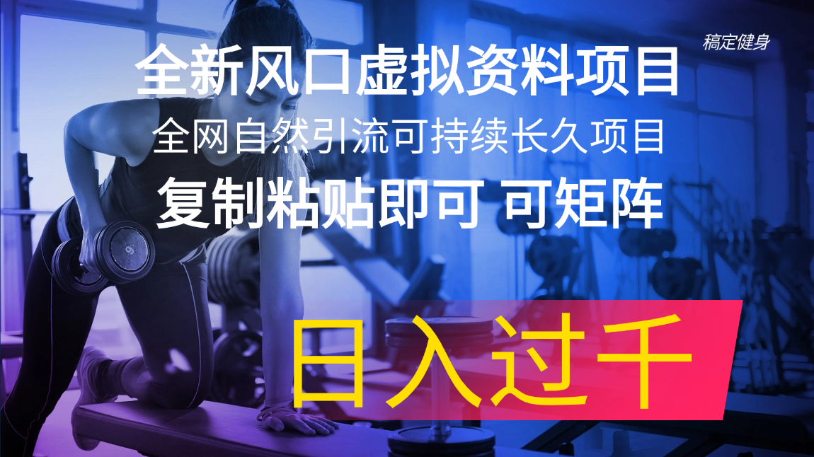 （11587期）全新风口虚拟资料项目 全网自然引流可持续长久项目 复制粘贴即可可矩阵…-wanlih项目库