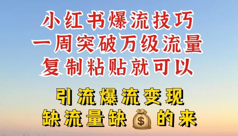 小红书爆流技巧，一周突破万级流量，复制粘贴就可以，引流爆流变现【揭秘】-wanlih项目库