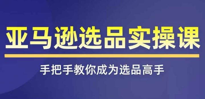 亚马逊选品实操课程，快速掌握亚马逊选品的技巧，覆盖亚马逊选品所有渠道-wanlih项目库