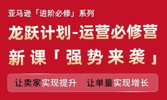 亚马逊进阶必修系列，龙跃计划-运营必修营新课，让卖家实现提升 让单量实现增长-wanlih项目库