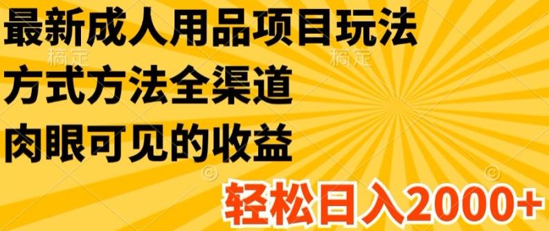 最新成人用品项目玩法，方式方法全渠道，轻松日入2K+【揭秘】-wanlih项目库
