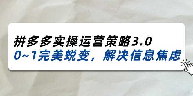 （11658期）2024_2025拼多多实操运营策略3.0，0~1完美蜕变，解决信息焦虑（38节）-wanlih项目库