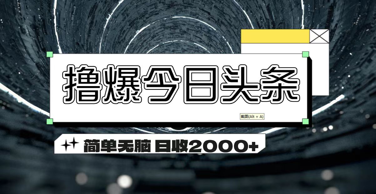 （11665期）撸爆今日头条 简单无脑操作 日收2000+-wanlih项目库