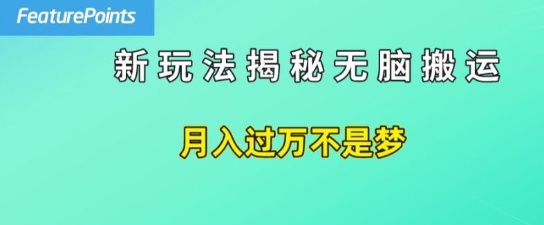 简单操作，每天50美元收入，搬运就是赚钱的秘诀【揭秘】-wanlih项目库