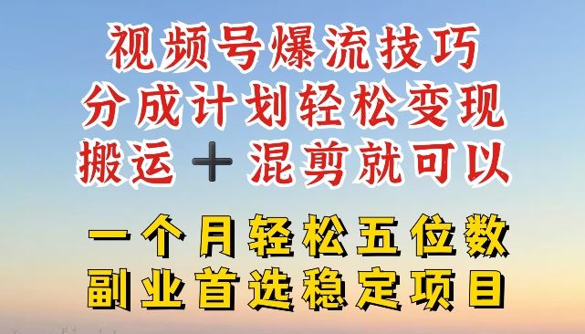 视频号爆流技巧，分成计划轻松变现，搬运 +混剪就可以，一个月轻松五位数稳定项目【揭秘】-wanlih项目库