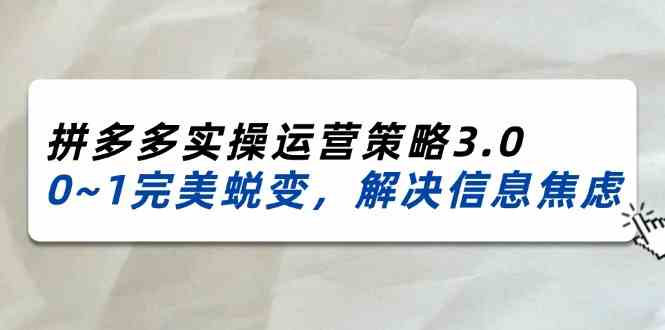 2024-2025拼多多实操运营策略3.0，0~1完美蜕变，解决信息焦虑（38节）-wanlih项目库