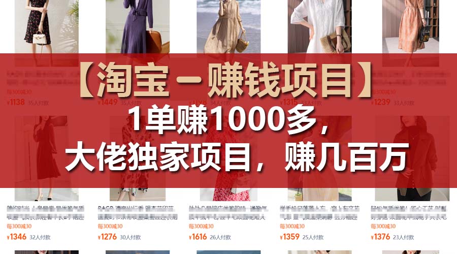 （11685期）【淘宝赚钱项目】1单可赚1000多，大佬独家项目，年赚几百万-wanlih项目库
