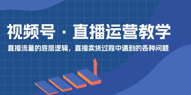 （11687期）视频号 直播运营教学：直播流量的底层逻辑，直播卖货过程中遇到的各种问题-wanlih项目库