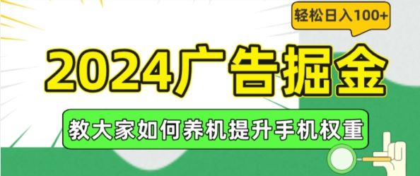 2024广告掘金，教大家如何养机提升手机权重，轻松日入100+【揭秘】-wanlih项目库