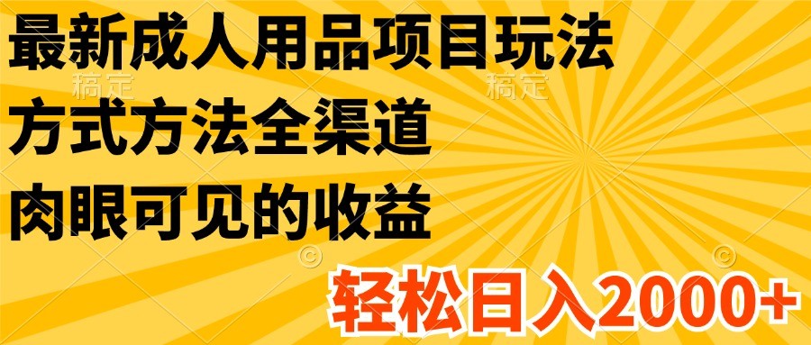 最新成人用品项目玩法，方式方法全渠道，肉眼可见的收益，轻松日入2000+-wanlih项目库