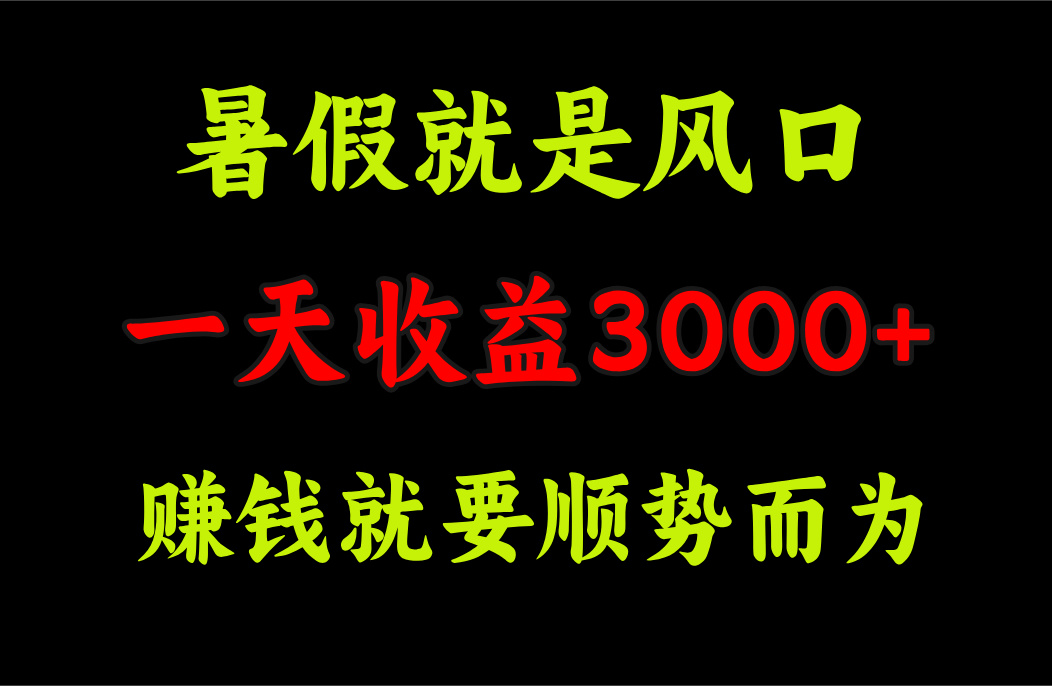 （11670期）一天收益3000+ 赚钱就是顺势而为，暑假就是风口-wanlih项目库