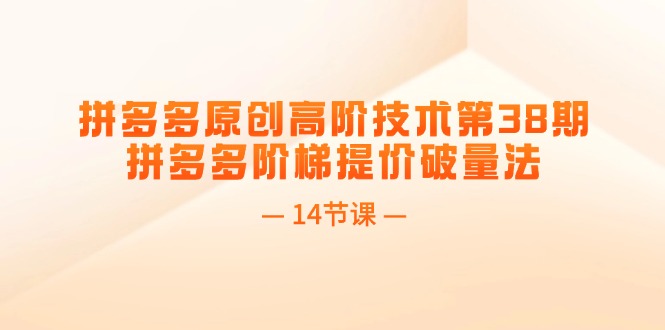 （11704期）拼多多原创高阶技术第38期，拼多多阶梯提价破量法（14节课）-wanlih项目库