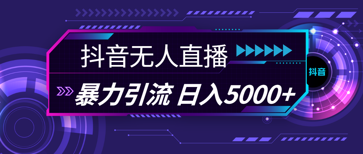 （11709期）抖音无人直播，暴利引流，日入5000+-wanlih项目库