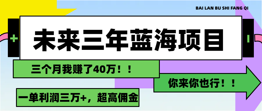 （11716期）未来三年，蓝海赛道，月入3万+-wanlih项目库