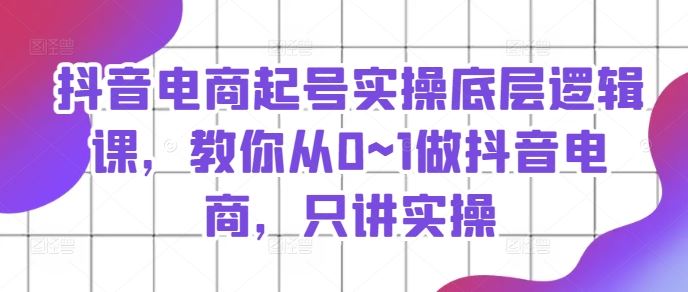 抖音电商起号实操底层逻辑课，教你从0~1做抖音电商，只讲实操-wanlih项目库