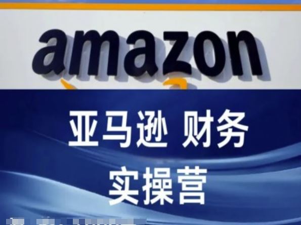 亚马逊财务核算实操营-亚马逊跨境电商教程-wanlih项目库