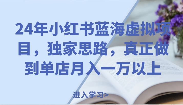 24年小红书蓝海虚拟项目，独家思路，真正做到单店月入一万以上。-wanlih项目库