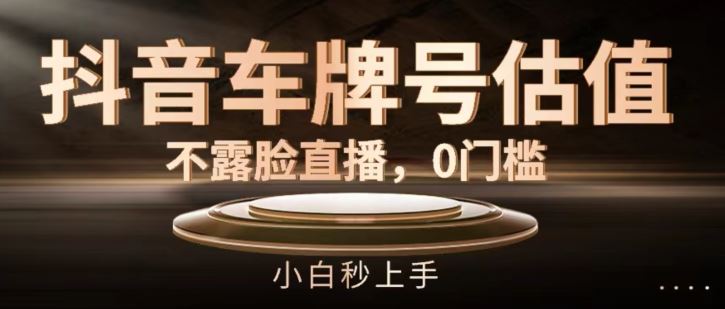 抖音车牌号估值，不露脸直播，0门槛，小白秒上手【揭秘】-wanlih项目库