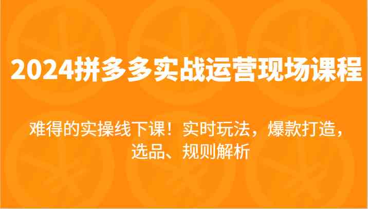 2024拼多多实战运营现场课，实时玩法，爆款打造，选品、规则解析，难得的实操线下课！-wanlih项目库