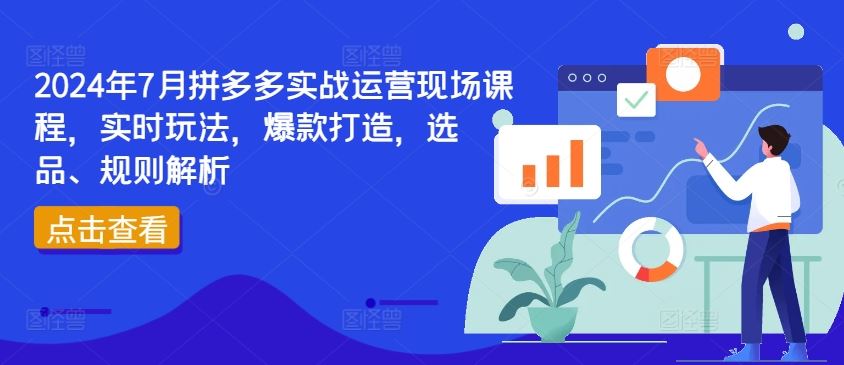 2024年7月拼多多实战运营现场课程，实时玩法，爆款打造，选品、规则解析-wanlih项目库