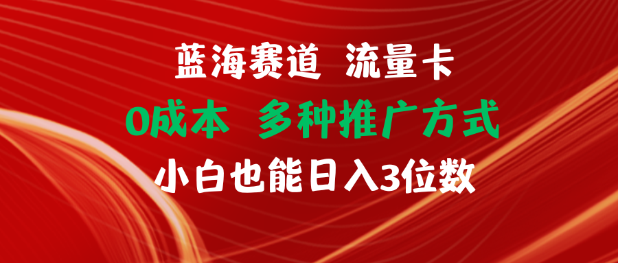 （11768期）蓝海赛道 流量卡 0成本 小白也能日入三位数-wanlih项目库