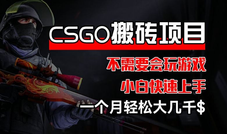 CSGO 装备搬砖项目，操作简单，不需要会玩游戏，小白也能快速上手，一个月轻松大几千【揭秘】-wanlih项目库