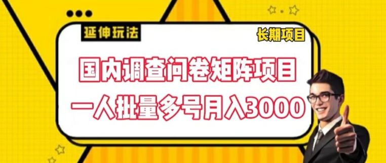 国内调查问卷矩阵项目，一人批量多号月入3000【揭秘】-wanlih项目库