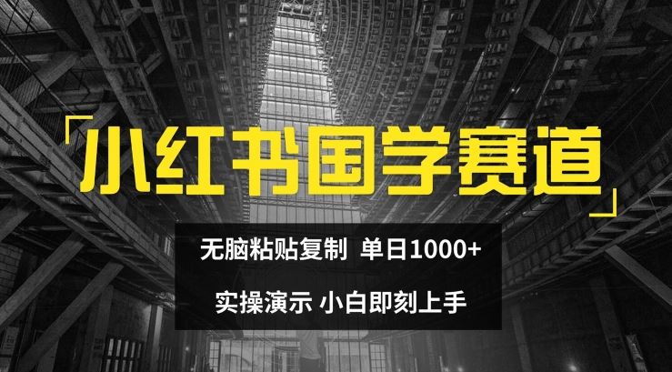小红书国学赛道，无脑粘贴复制，单日1K，实操演示，小白即刻上手【揭秘】-wanlih项目库