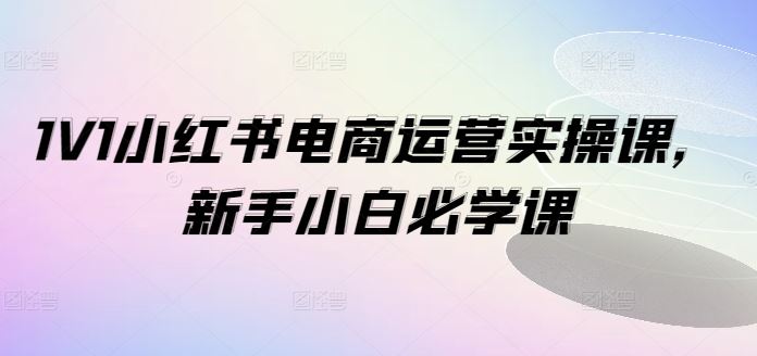 1V1小红书电商运营实操课，新手小白必学课-wanlih项目库