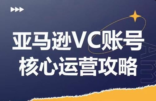 亚马逊VC账号核心玩法解析，实战经验拆解产品模块运营技巧，提升店铺GMV，有效提升运营利润-wanlih项目库