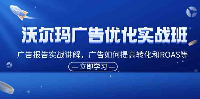 沃尔玛广告优化实战班，广告报告实战讲解，广告如何提高转化和ROAS等-wanlih项目库