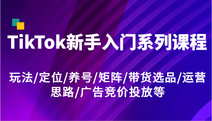 TikTok新手入门系列课程，玩法/定位/养号/矩阵/带货选品/运营思路/广告竞价投放等-wanlih项目库