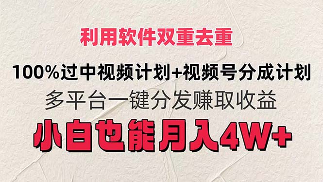 （11862期）利用软件双重去重，100%过中视频+视频号分成计划小白也可以月入4W+-wanlih项目库