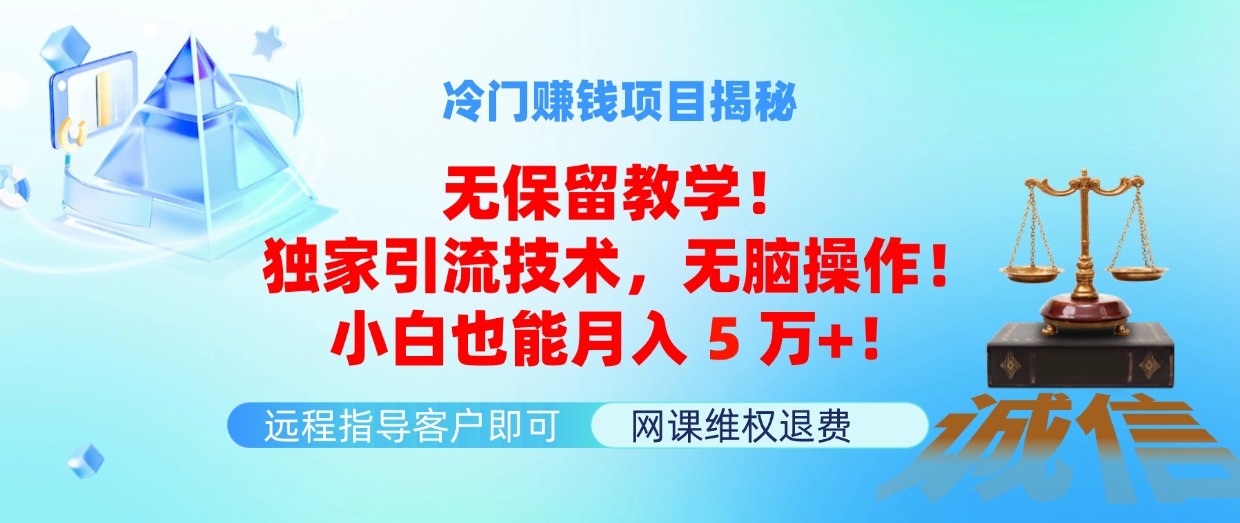 （11864期）冷门赚钱项目无保留教学！独家引流技术，无脑操作！小白也能月入5万+！-wanlih项目库