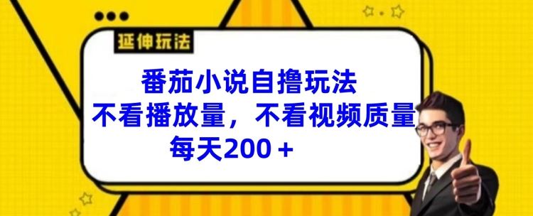 番茄小说自撸玩法，不看播放量，不看视频质量，每天200+【揭秘】-wanlih项目库
