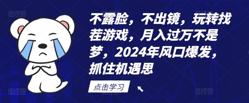 不露脸，不出镜，玩转找茬游戏，月入过万不是梦，2024年风口爆发，抓住机遇【揭秘】-wanlih项目库