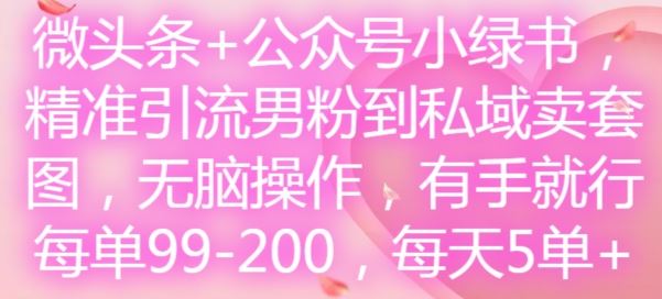 微头条+公众号小绿书，精准引流男粉到私域卖套图，无脑操作，有手就行，每单99-200，每天5单-wanlih项目库